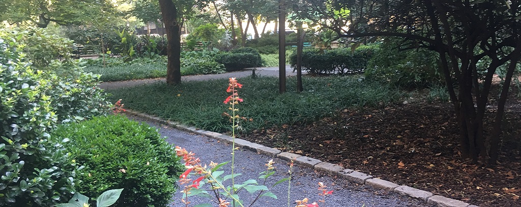 Photo of NYC Park