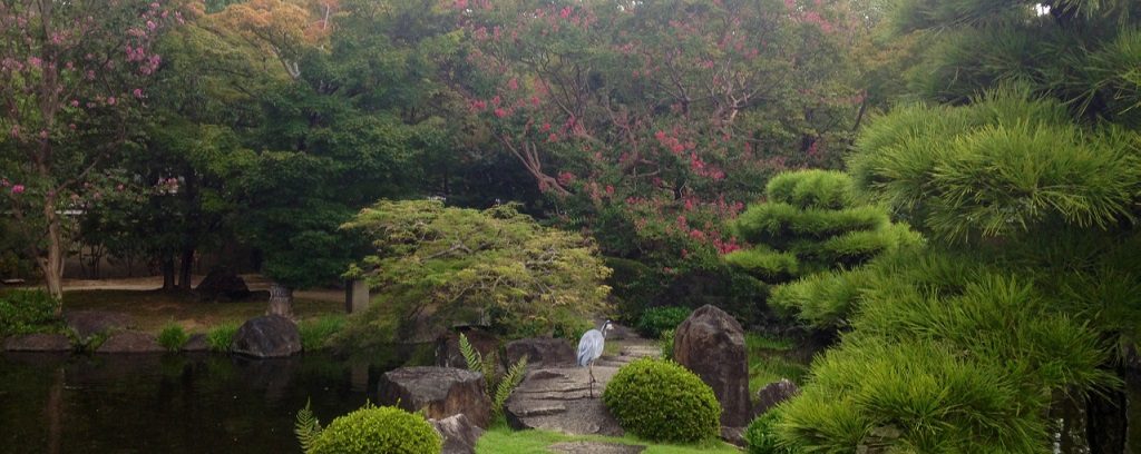 Photo of Garden and Blue Heron