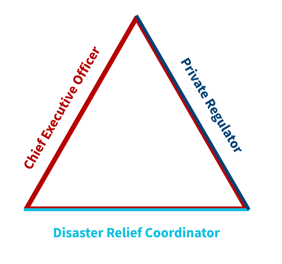 Graphic of a triangle showing three major roles employers are expected to play: CEO, Private Regulator, and Disaster Response Coordinator
